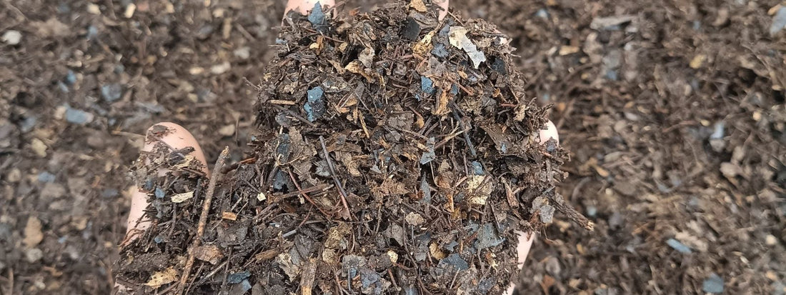 How to Prepare the Perfect Soil Mix for Succulents (Beginner-Friendly Guide)