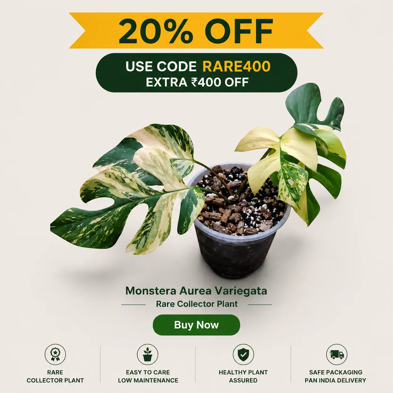 Premium Rare Plants