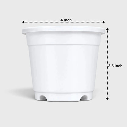 4-Inch Plastic Plant Pots – Strong & Long-Lasting