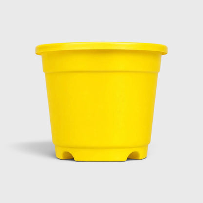 4-Inch Plastic Plant Pots – Strong & Long-Lasting
