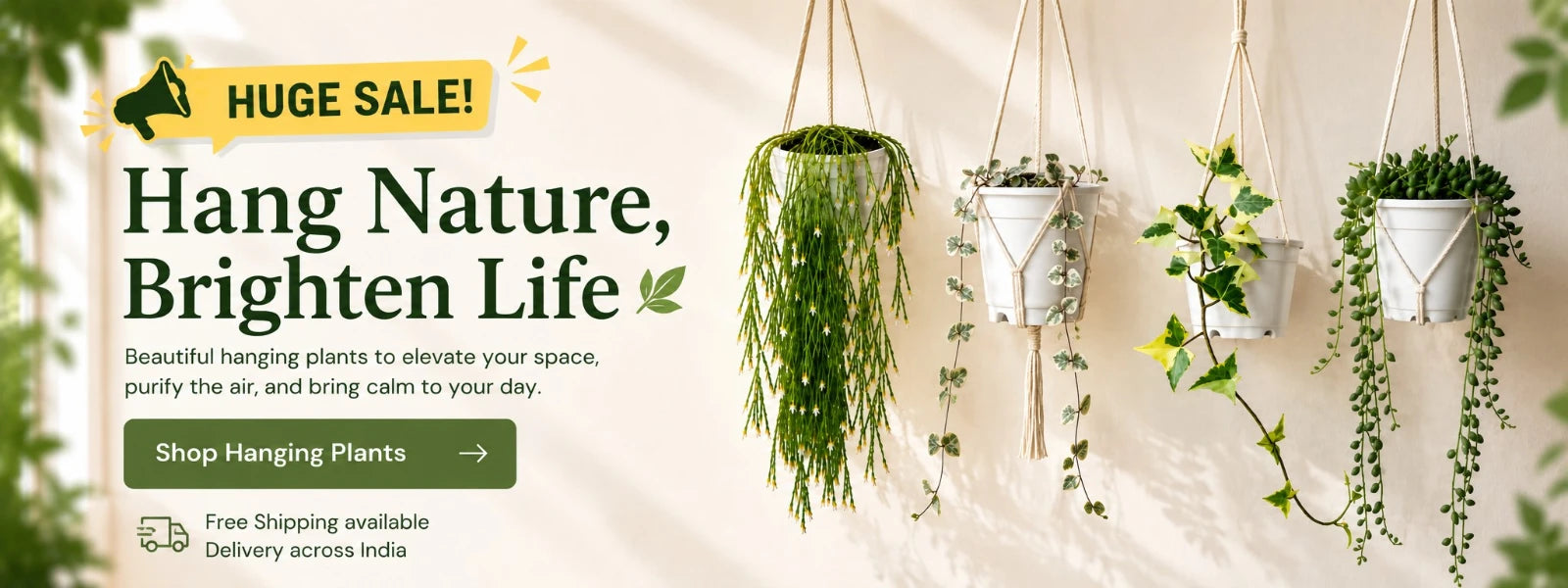 Buy Hanging Plants Online in India at Frek.in