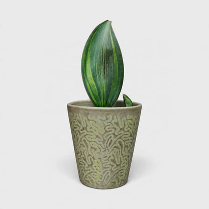 Textured Green Ceramic Flower Pot with Abstract Pattern & Drainage Hole