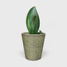 Textured Green Ceramic Flower Pot with Abstract Pattern & Drainage Hole