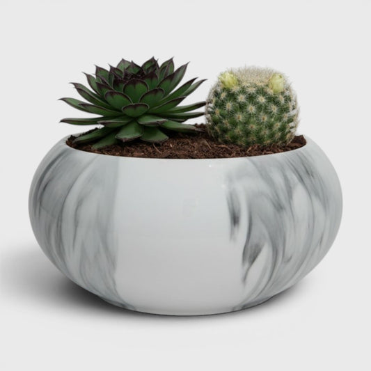 Bagiyaa Marbela Ceramic Bowl Planter – Marble Effect (8×4 in)