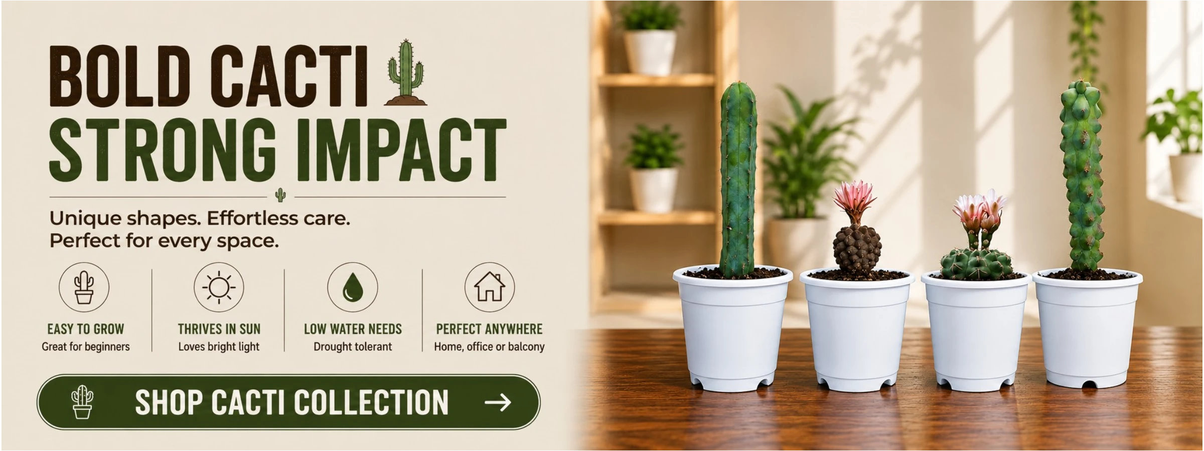 Buy indoor and outdoor cactus and more at Frek.in