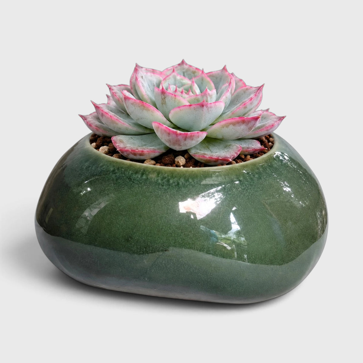 Pebble Shaped Ceramic Planter with Drainage Hole ( 9×7 cm)