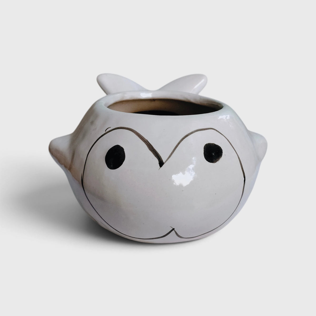 Fish-Shaped Ceramic Planter with Drainage Hole | Tabletop Planter