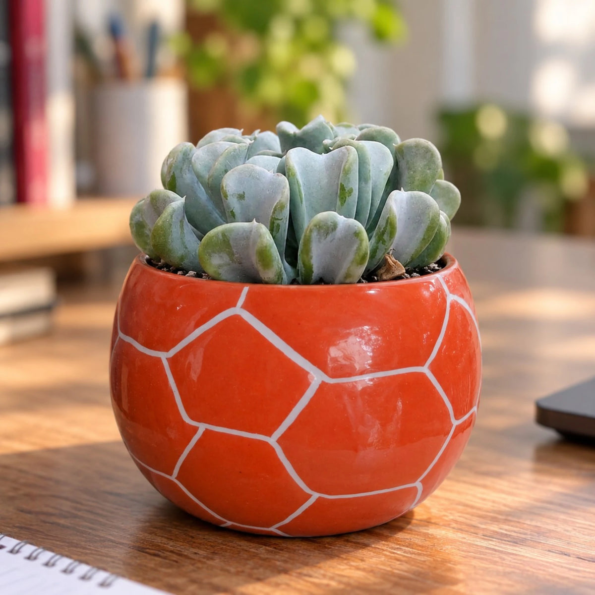 Orange Football Shaped Ceramic Flower Pot with Drainage Hole (7 × 9 cm)