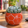 Orange Football Shaped Ceramic Flower Pot with Drainage Hole (7 × 9 cm)