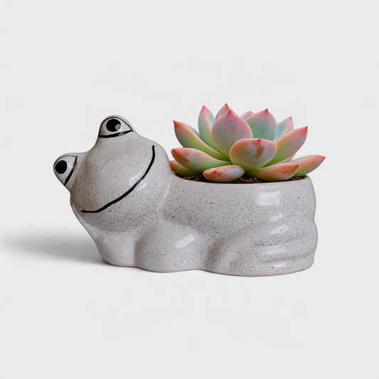 White Speckled Ceramic Frog-Shaped Planter with Drainage Hole