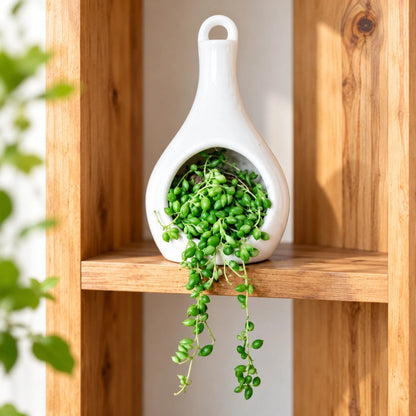 Ceramic Hanging Pod Air Plant Holder & Tea Light Holder ( 22 x 8 cm )