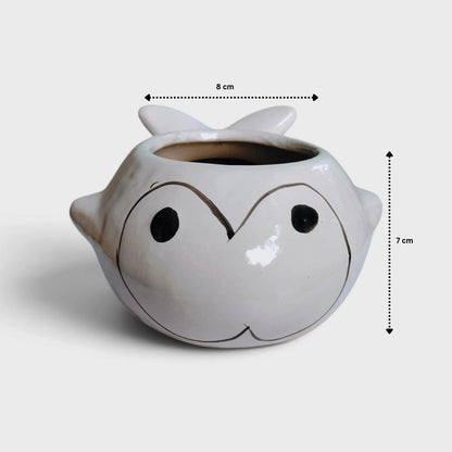 Fish-Shaped Ceramic Planter with Drainage Hole | Tabletop Planter