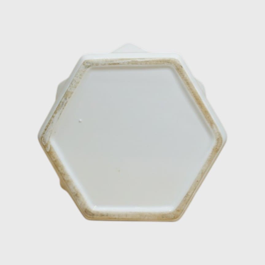 White Geometric Ceramic Plant Pot with Matching Saucer – 4x4 Inch