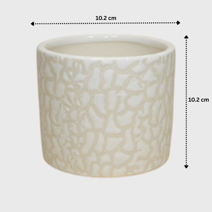 White Ceramic Planter – Textured Abstract Pattern with Drainage Hole (4×4 in)