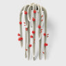 Monkey's Tail Cactus (Cleistocactus colademononis) | Mature Trailing Hanging Cactus