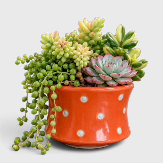 Orange Polka Dot Ceramic Planter with Drainage Hole ( 12×8 cm )