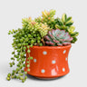 Orange Polka Dot Ceramic Planter with Drainage Hole ( 12×8 cm )