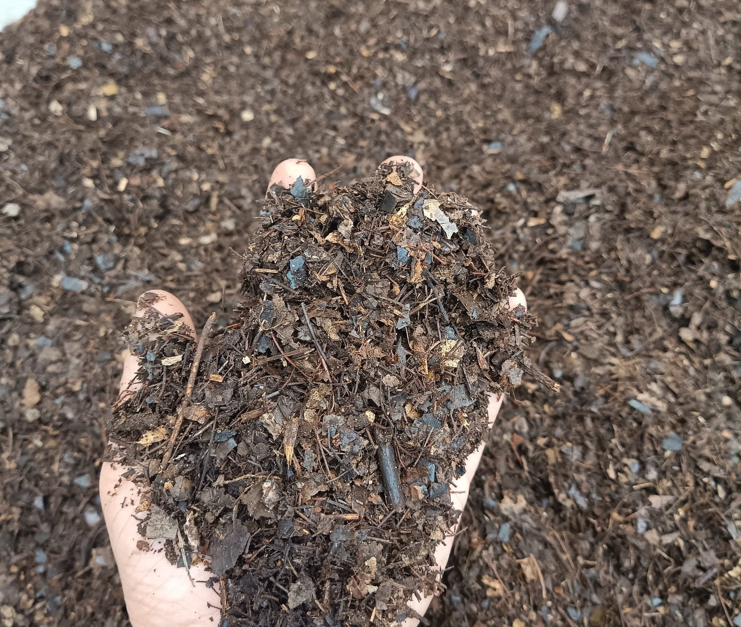 Organic Leaf Composed Ready-Made Soil Mixture - Nutrient-Rich Blend for All Plants – Bare-Rooted