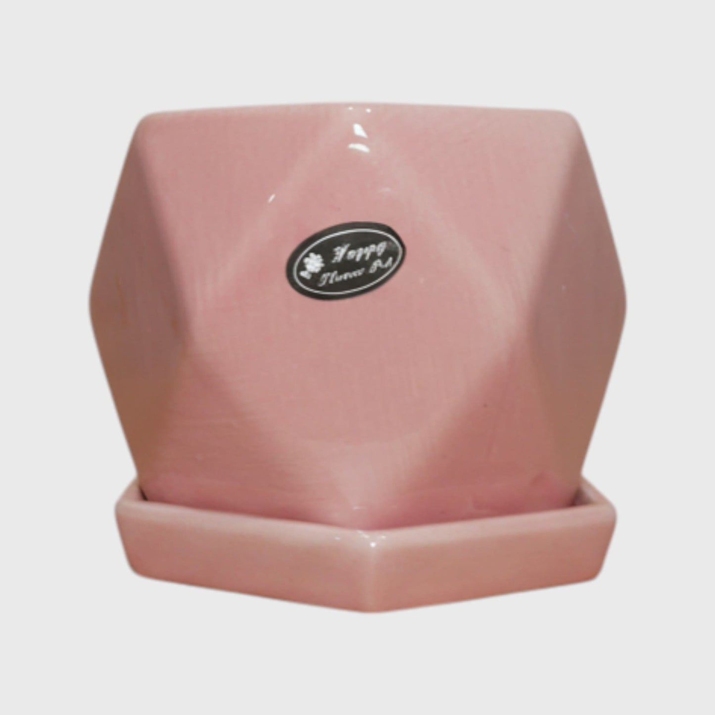 Pink Geometric Ceramic Pot with Saucer (4×4 in)