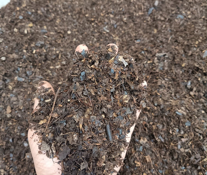 Premium succulent and cactus soil mix made with Darjeeling leaf compost, cocopeat, and perlite