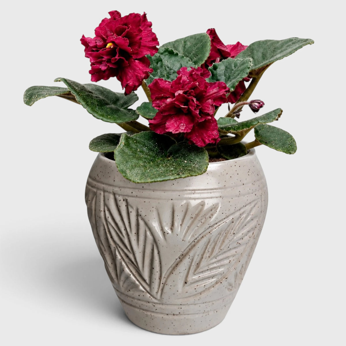 Beige Ceramic Planter Pot – Tropical Leaf Pattern with Drainage Hole (4.5x5.5 in)
