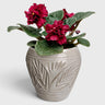 Beige Ceramic Planter Pot – Tropical Leaf Pattern with Drainage Hole (4.5x5.5 in)