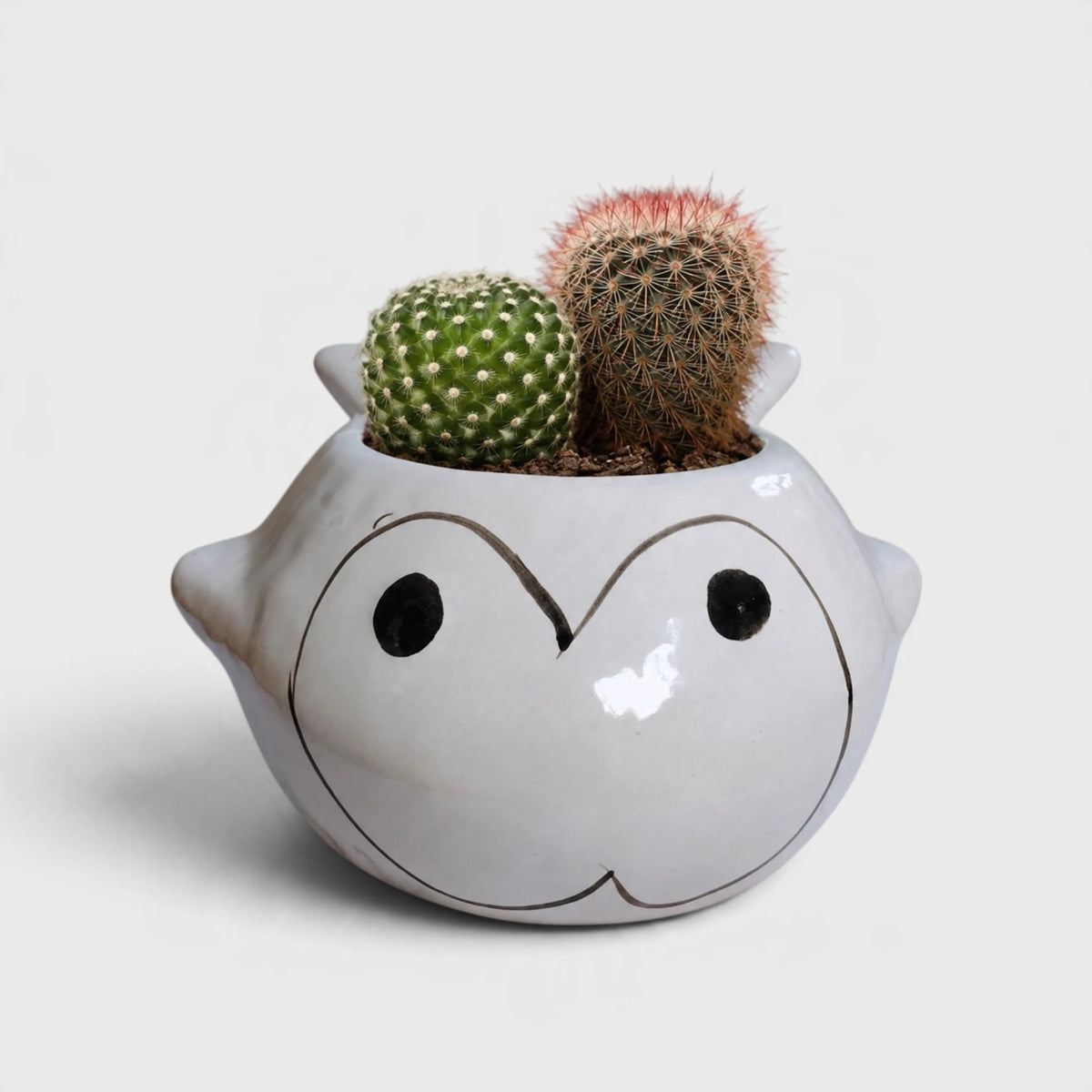 Fish-Shaped Ceramic Planter with Drainage Hole | Tabletop Planter