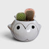 Fish-Shaped Ceramic Planter with Drainage Hole | Tabletop Planter