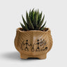 Hand-Painted Warli Art Ceramic Planter with Drainage Hole (14 × 13 cm)