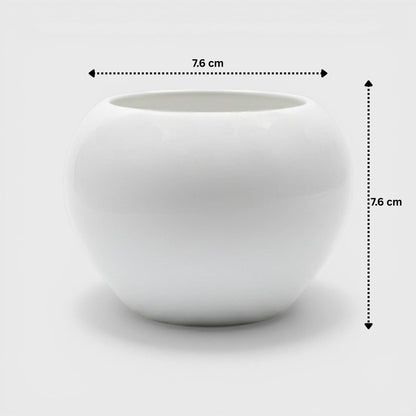 Apple-Shaped White Ceramic Planter with Drainage (3×3 in)