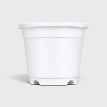 4-Inch Plastic Plant Pots – Strong & Long-Lasting