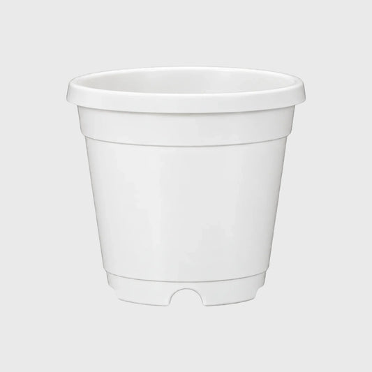 Premium White Plastic Pots for Indoor & Outdoor Plants – 4 Inch