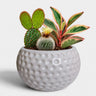 Ceramic Golf Ball Planter with Drainage Hole ( 11x10 cm )